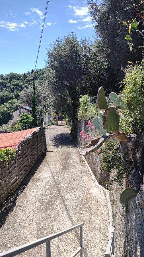 Bungalow Sixdays 3 Camporosso (Liguria) Exterior foto